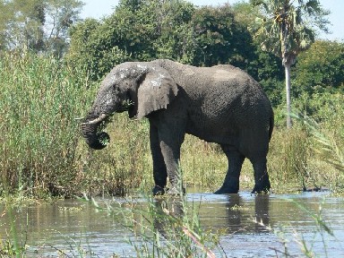 Malawi, Afrika