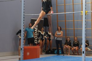 Mammut2
